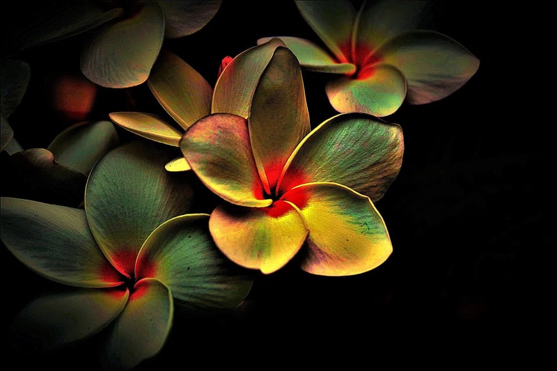 Abstract Dance Image